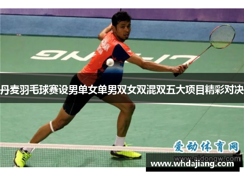 丹麦羽毛球赛设男单女单男双女双混双五大项目精彩对决