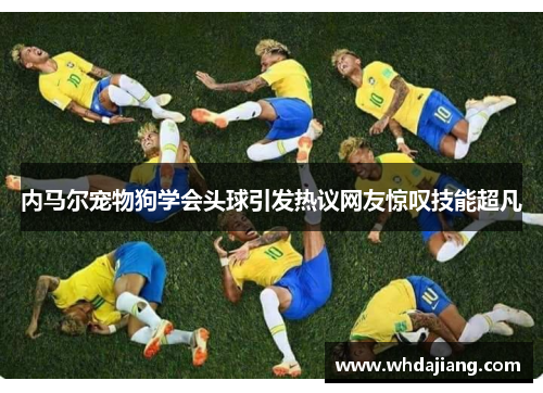 内马尔宠物狗学会头球引发热议网友惊叹技能超凡