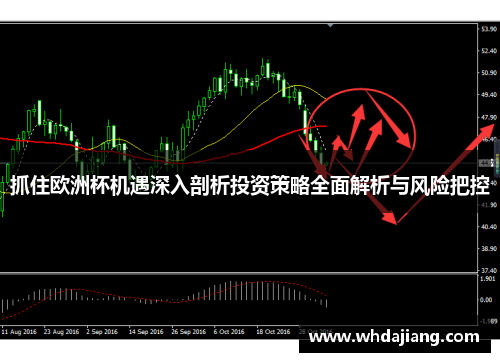 抓住欧洲杯机遇深入剖析投资策略全面解析与风险把控
