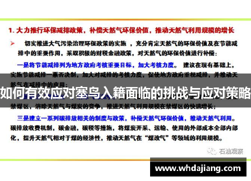 如何有效应对塞鸟入籍面临的挑战与应对策略