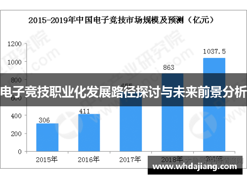 电子竞技职业化发展路径探讨与未来前景分析